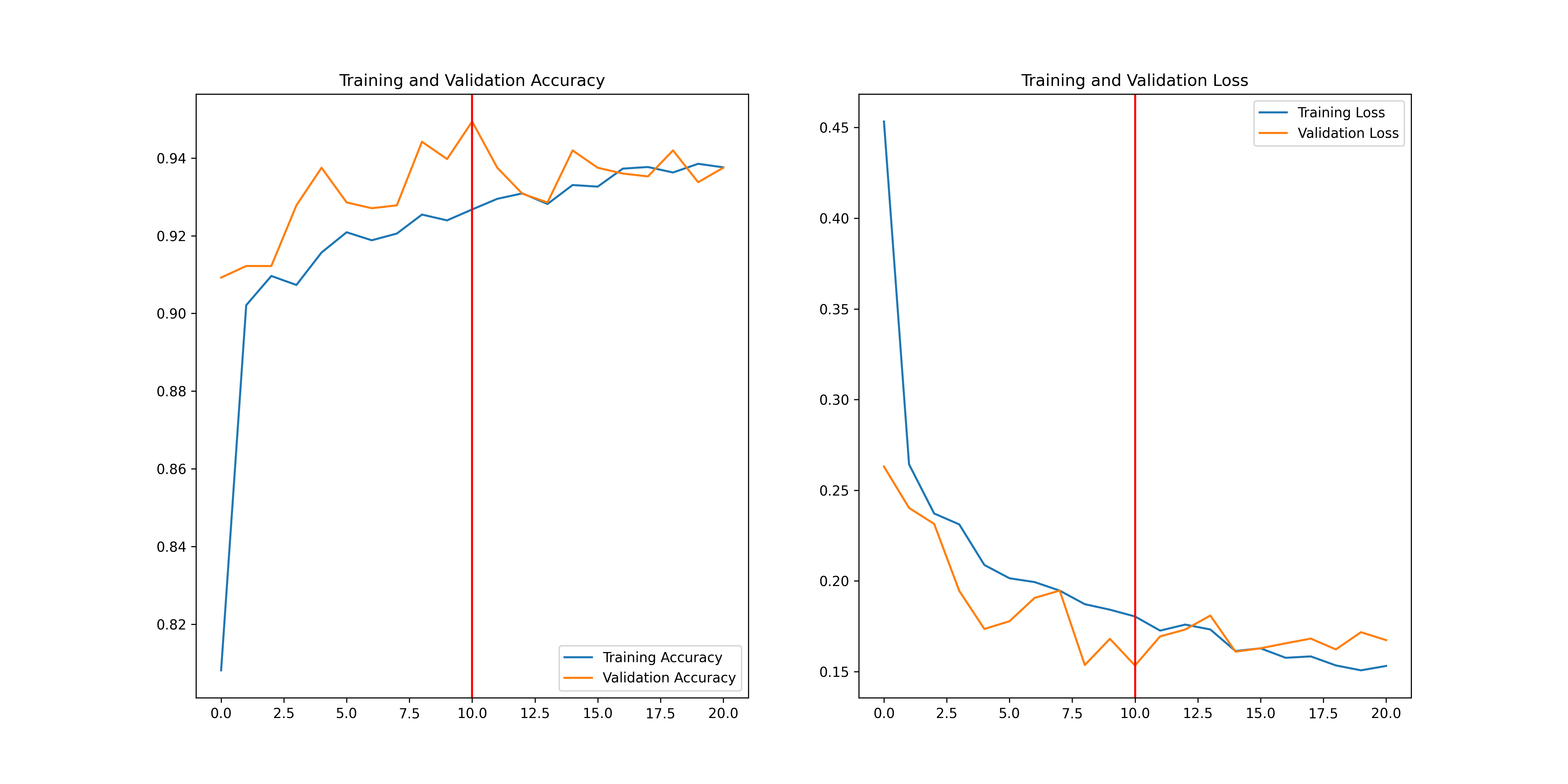 Training Curve